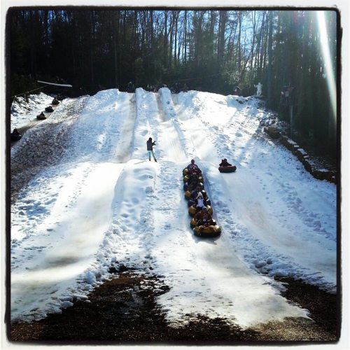 People tubing down a snowy hill on a sunny day, with trees in the background and tracks in the snow.
