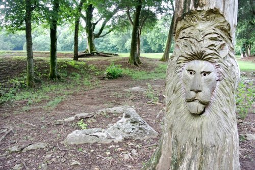 A carved lion's face on a tree trunk in a wooded area, surrounded by greenery and rocky ground.