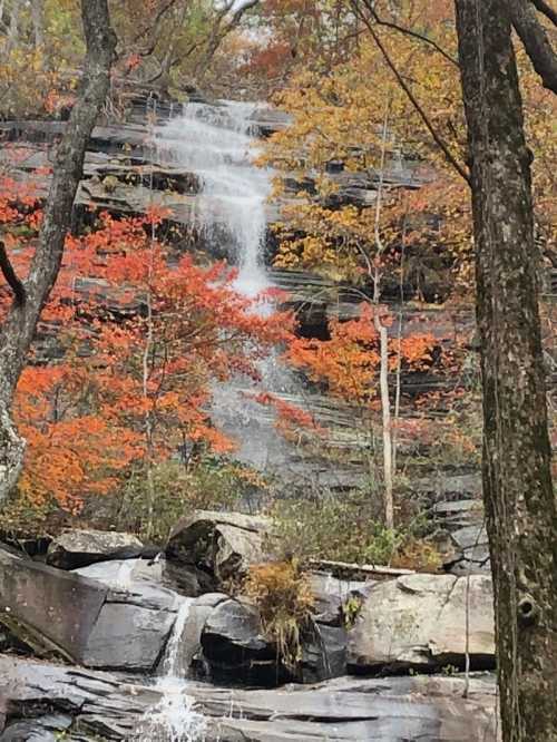 A serene waterfall cascades down rocky cliffs, surrounded by vibrant autumn foliage in shades of orange and yellow.