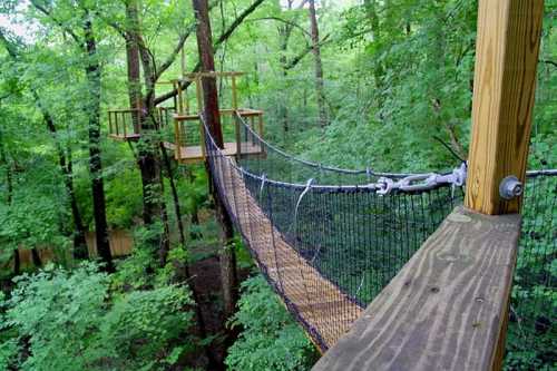 A wooden suspension bridge connects treehouses in a lush green forest.