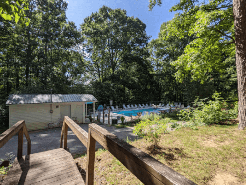 A wooden walkway leads to a pool surrounded by trees, with a small building nearby on a sunny day.