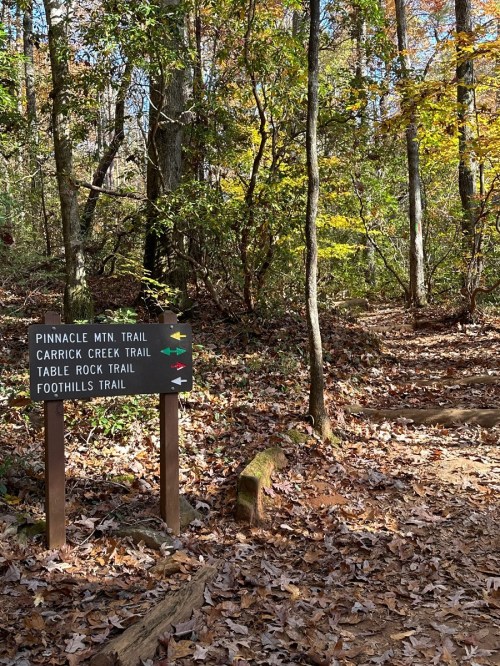 Trail sign at a forest intersection, indicating directions for Pinnacle Mtn, Carrick Creek, Table Rock, and Foothills Trails.