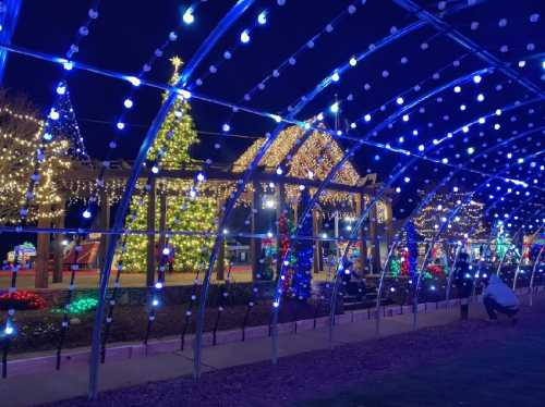 A festive display of colorful Christmas lights and trees at night, creating a cheerful holiday atmosphere.