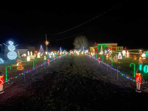 A festive display of colorful Christmas lights and decorations, including snowmen, candy canes, and Santa figures at night.