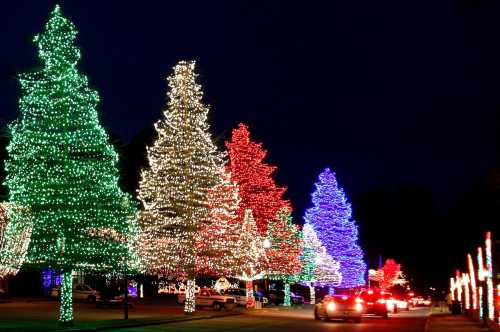 Colorful Christmas trees adorned with bright lights line a street at night, creating a festive holiday atmosphere.