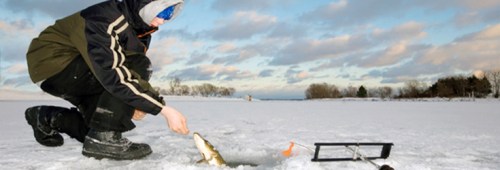 A person ice fishing on a frozen lake, reaching for a fish caught through a hole in the ice.