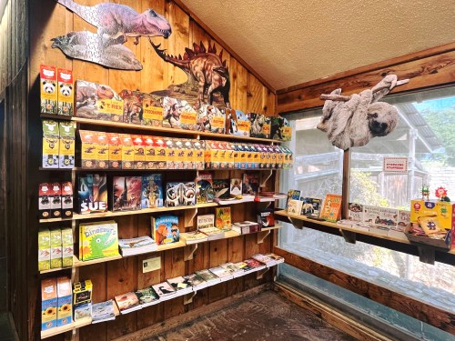 A wooden display featuring various animal-themed books and toys, with dinosaur decorations on the walls.