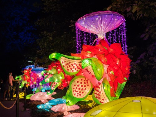 Colorful illuminated lanterns shaped like flowers and mushrooms, glowing in a dark garden setting.