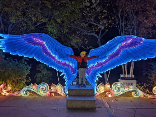 A person stands with arms outstretched in front of large, colorful illuminated angel wings at night.