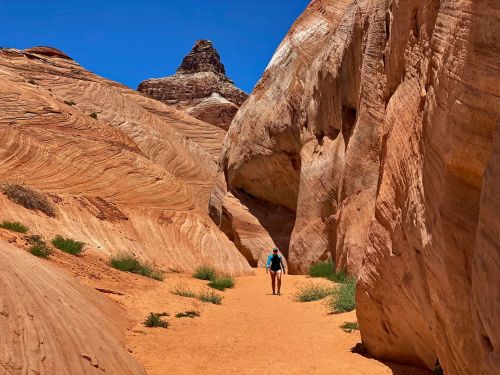 A person walks along a sandy path between towering, colorful rock formations under a clear blue sky.