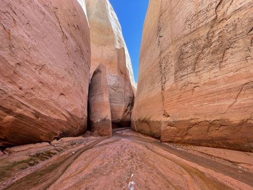Narrow canyon with towering red rock walls and a sandy floor under a clear blue sky.