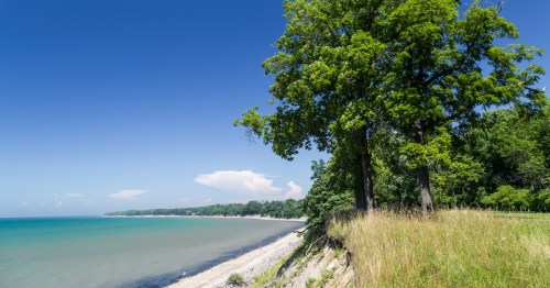 a narrow tree-lined beach along the turquoise waters of lake erie in new york
