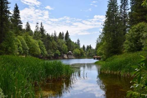 A serene lake surrounded by lush greenery and trees, with a wooden dock in the distance under a blue sky.
