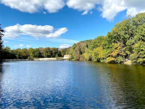 A serene lake surrounded by trees, with a clear blue sky and fluffy clouds reflecting on the water's surface.