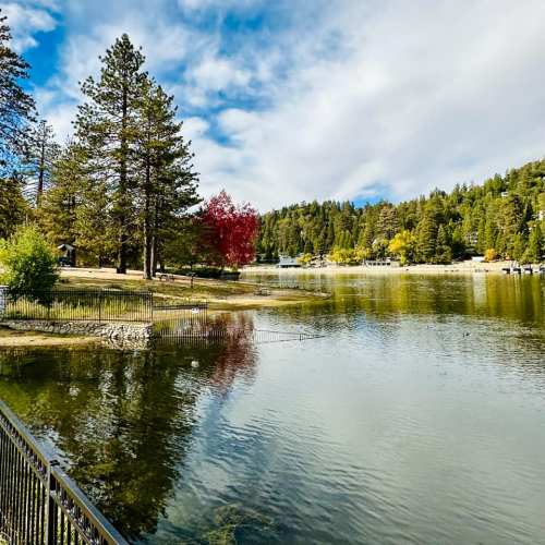 A serene lakeside scene with tall pine trees, colorful autumn foliage, and a calm water surface reflecting the sky.
