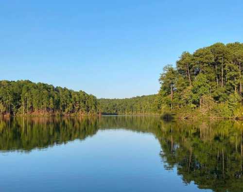 A serene lake surrounded by lush green trees, reflecting the clear blue sky and calm water.