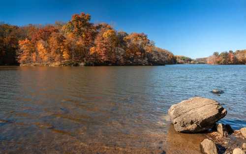 A serene lake surrounded by autumn trees, with a large rock in the foreground and clear blue skies above.