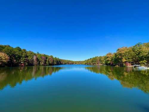 A serene lake surrounded by lush trees under a clear blue sky, reflecting the vibrant colors of nature.