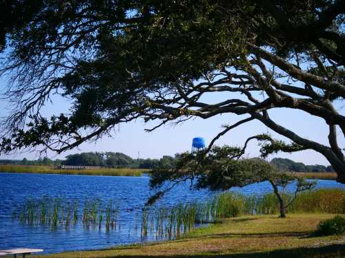 A serene lakeside view with trees, water, and a distant blue water tower under a clear blue sky.