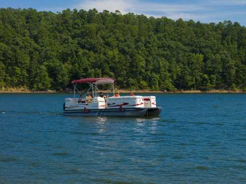 A boat with a canopy glides across a calm lake, surrounded by lush green trees under a clear blue sky.