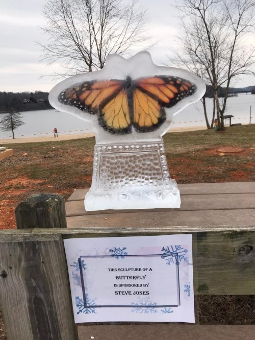 An ice sculpture of a butterfly stands by a lake, with a sign indicating it's sponsored by Steve Jones.