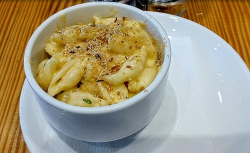 A bowl of creamy pasta topped with breadcrumbs, served on a white plate.