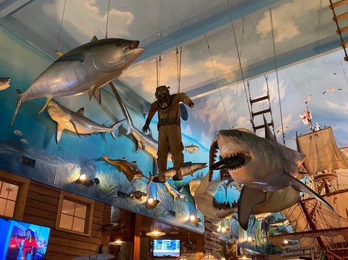 A whimsical restaurant interior featuring hanging fish, a diver figure, and a large shark model against a mural backdrop.