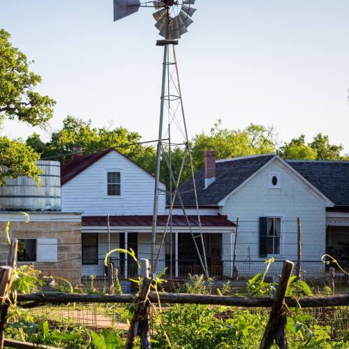 A rustic farmhouse with a windmill, surrounded by trees and a garden, under a clear blue sky.