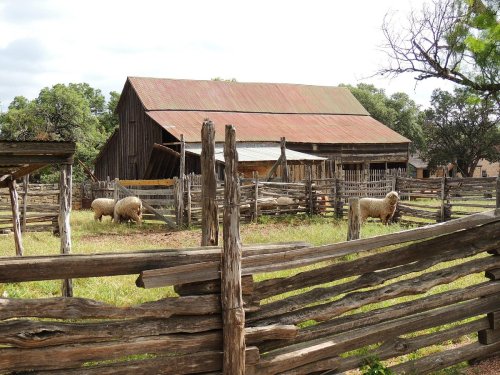 A rustic barn surrounded by wooden fences and grazing sheep in a green pasture under a cloudy sky.