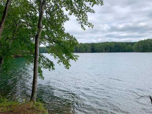 A serene lake surrounded by trees under a cloudy sky, with calm water reflecting the landscape.