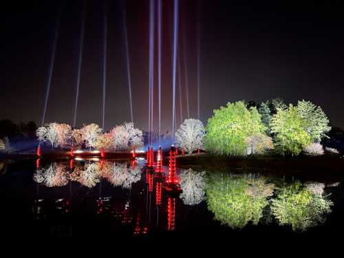 Colorful lights illuminate trees and water at night, creating vibrant reflections and a magical atmosphere.