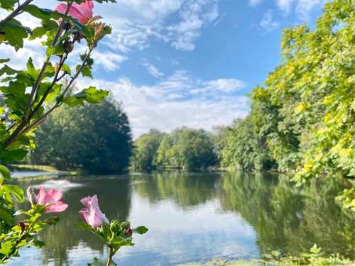 A serene lake surrounded by lush greenery and blooming pink flowers under a clear blue sky.