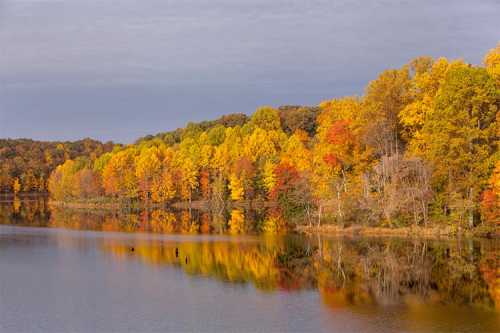 A serene lake surrounded by vibrant autumn trees reflecting in the water under a cloudy sky.