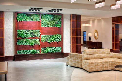 A modern lobby featuring a vertical garden on a wooden wall and a beige sofa in a stylish, well-lit space.