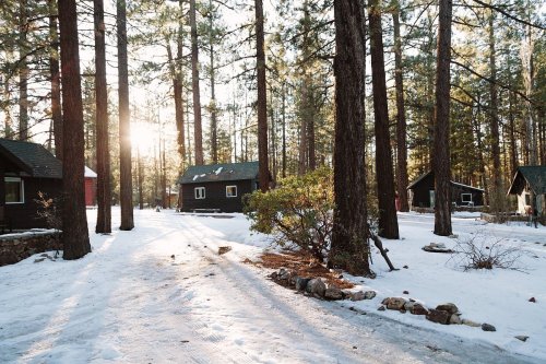 Snow-covered path leading through a forest of tall trees, with cozy cabins nestled among them and sunlight peeking through.