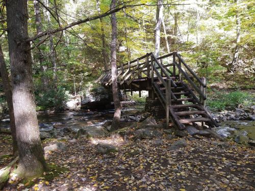 A wooden bridge over a stream, surrounded by trees with autumn leaves on the ground.