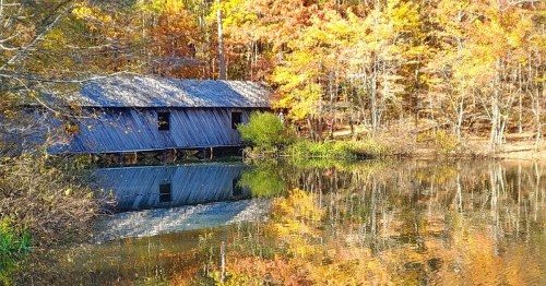 A rustic wooden covered bridge beside a calm pond, surrounded by vibrant autumn foliage reflecting in the water.