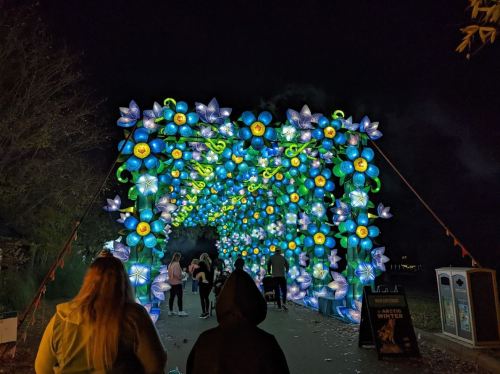 A vibrant, illuminated archway made of blue and green flowers, with people walking underneath at night.