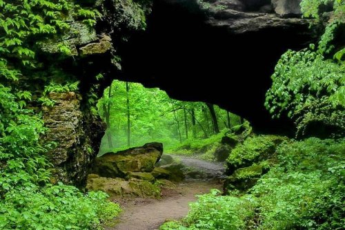 A lush green forest scene viewed through a rocky archway, with a winding path leading into the vibrant foliage.