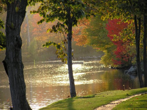 A serene river scene with trees and colorful autumn foliage reflecting in the water under soft sunlight.