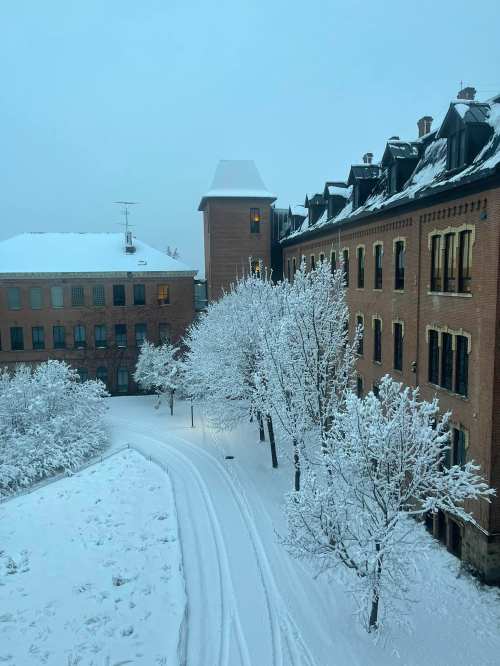 A snowy landscape featuring brick buildings and trees covered in snow, under a gray sky.