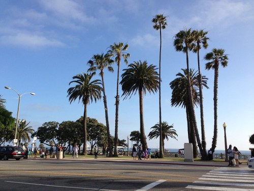 A sunny scene with palm trees lining a street, people walking, and a view of the ocean in the background.