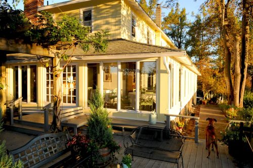 A sunny house with large windows, surrounded by trees and a wooden deck, featuring a dog in the foreground.