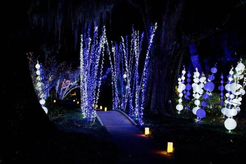 A serene pathway illuminated by blue lights and white lanterns, surrounded by glowing decorations in a dark setting.