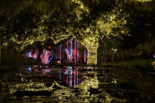 A beautifully lit tree surrounded by colorful lights reflecting in a calm pond at night.