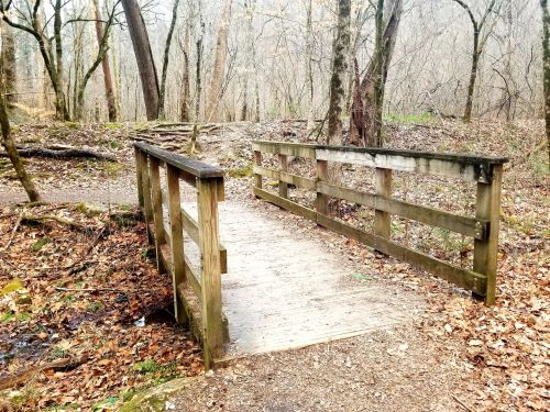 A wooden bridge over a small stream in a forested area with bare trees and fallen leaves.