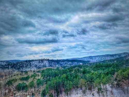 A panoramic view of a forested landscape under a cloudy sky, with rolling hills in the background.