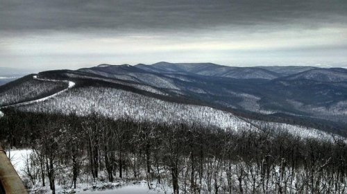 A panoramic view of snow-covered mountains under a cloudy sky, with bare trees in the foreground.