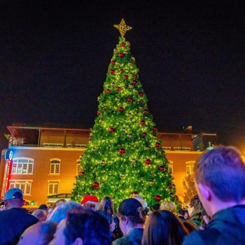 A large, decorated Christmas tree with a star on top, surrounded by a crowd at night.
