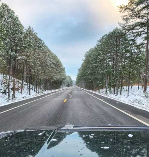 A snow-covered road lined with evergreen trees under a cloudy sky, viewed from the front of a vehicle.